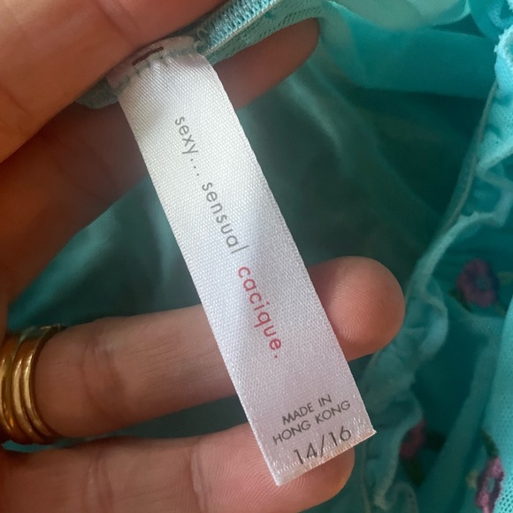 Vintage 90s Lingerie Cacique Bikini Panties Sheer Ruffle Blue Embroidered 14 16 - Picture 3 of 6